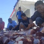Nasdem Gorontalo Kurbankan 78 ekor sapi.