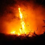 KEBAKARAN LAHAN DI KOTA GORONTALO