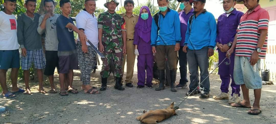 Penangkapan Anjing Gila di Kecamatan Atinggola.
