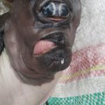 Warga Kecamatan Sipatana Digegerkan dengan Anak Kambing Bermata Satu.