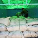 Polda Gorontalo Gagalkan Penyelundupan 6 Ton Cap Tikus dari Sulut
