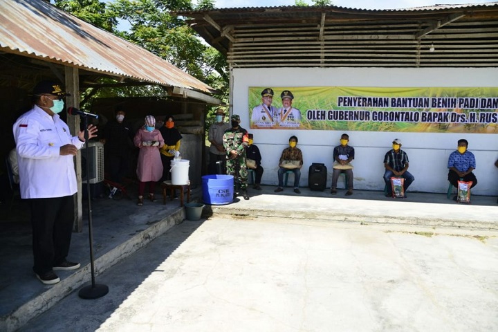 Petani Kabupaten Gorontalo Dapat Bantuan Benih Padi-Jagung dari Pemprov Gorontalo