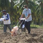 bupati_kriris pangan_tanam jagung_dulohupa.id