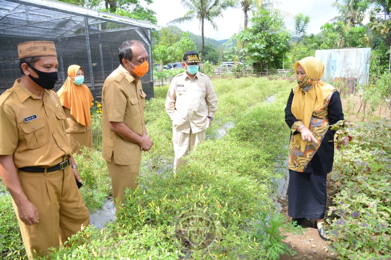 Berkebun di Pekarangan Rumah, Usaha Kreatif Ditengah Pandemi