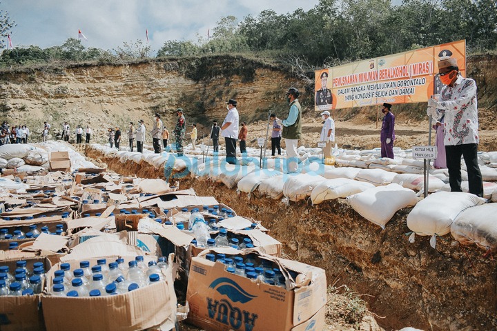 Polda Gorontao Musnahkan 36 Ton Miras Jenis Captikus