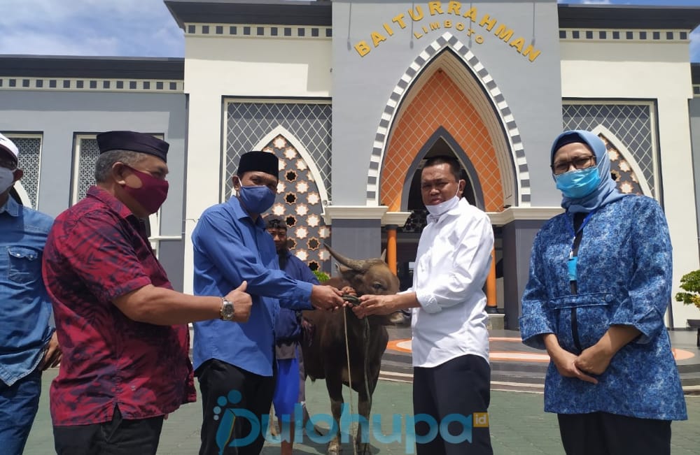Bantuan Sapi Kurban Pribadi RG Mulai Disalurkan