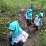 guru-sebrangi-sungai-dulohupa.id-4