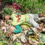 kake-tersengat-listrik-dulohupa.id-
