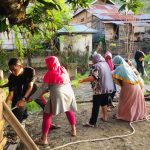 Tahapan Budidaya Lele