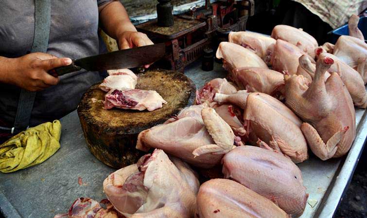 Ketersediaan Daging Ayam di Kabgor Mencapai 233.446 Ton