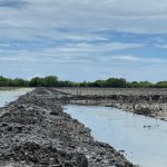 Kondisi Cagar Alam Tanjung Panjang (CATP) Pohuwato yang gersang/FOTO istimwa untuk dulohupa.id
