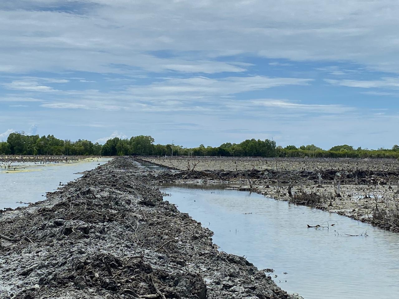 Kondisi Cagar Alam Tanjung Panjang (CATP) Pohuwato yang gersang/FOTO istimwa untuk dulohupa.id