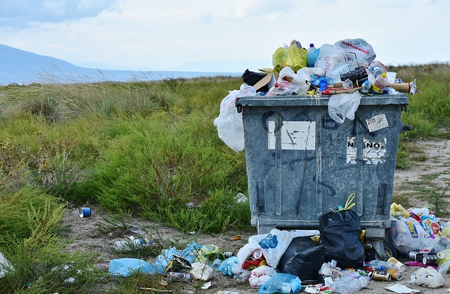 Masyarakat Pohuwato Dinilai Belum Sadar Persoalan Sampah