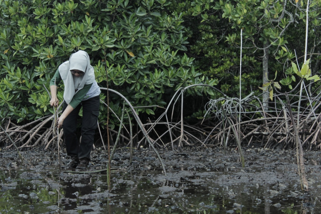 Japesda Minta Pemerintah Daerah Memasukkan Isu Lingkungan dalam RPJMD