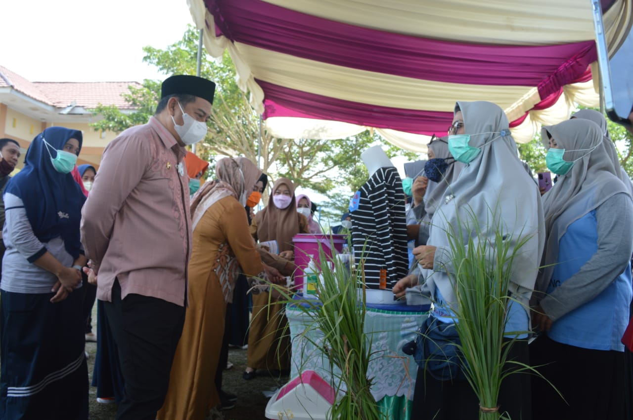 Hamim Pou Ajak Masyarakat Gunakan Pengobatan Herbal