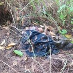 Penemuan mayat di Desa Suka Damai, Kecamatan Bilato, Kabupaten Gorontalo/Reskrim Polres Gorontalo