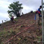 Aktivitas mahasiswa bersama masyarakat Polahi/Politeknik Gorontalo
