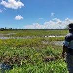 Umar yang tampak memandang lahan kebunnya yang terendam air selama beberpa minggu/Hendrik Gani