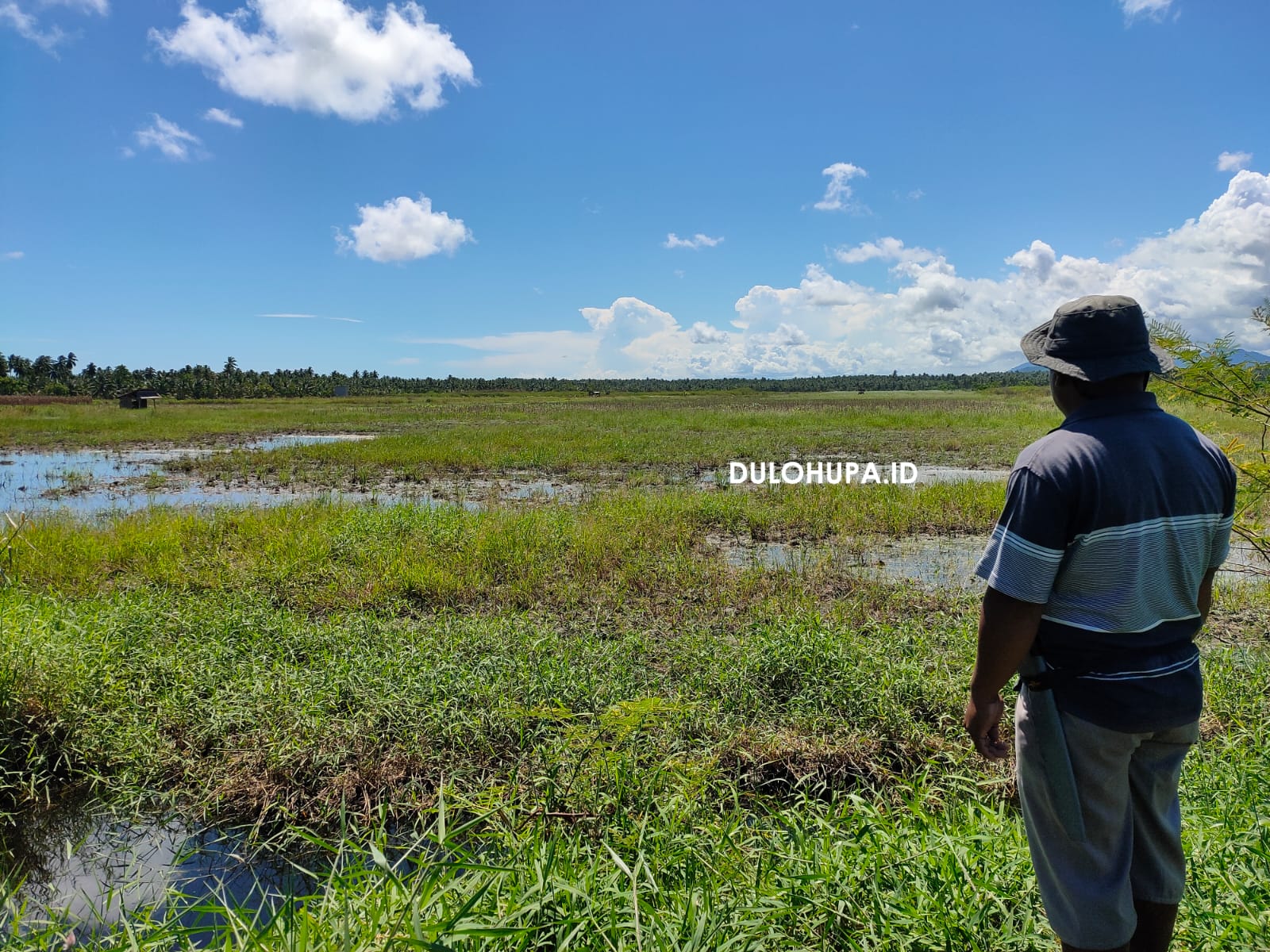 Umar yang tampak memandang lahan kebunnya yang terendam air selama beberpa minggu/Hendrik Gani