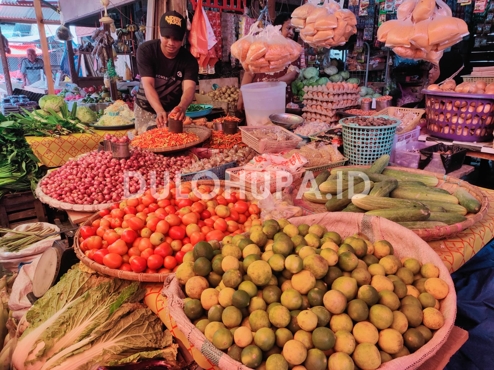 Harga Rica di Pohuwato Meroket, 100ribu Perkilogram