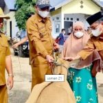 Bantuan ternak sapi Gorontalo Utara