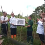 Petani milenial