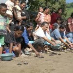 Adopsi Tukik Penyu Gorontalo