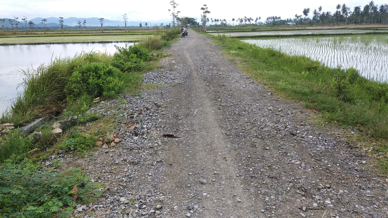 Proyek Infrastruktur Jalan Mandek di Kabupaten Gorontalo jadi Sorotan