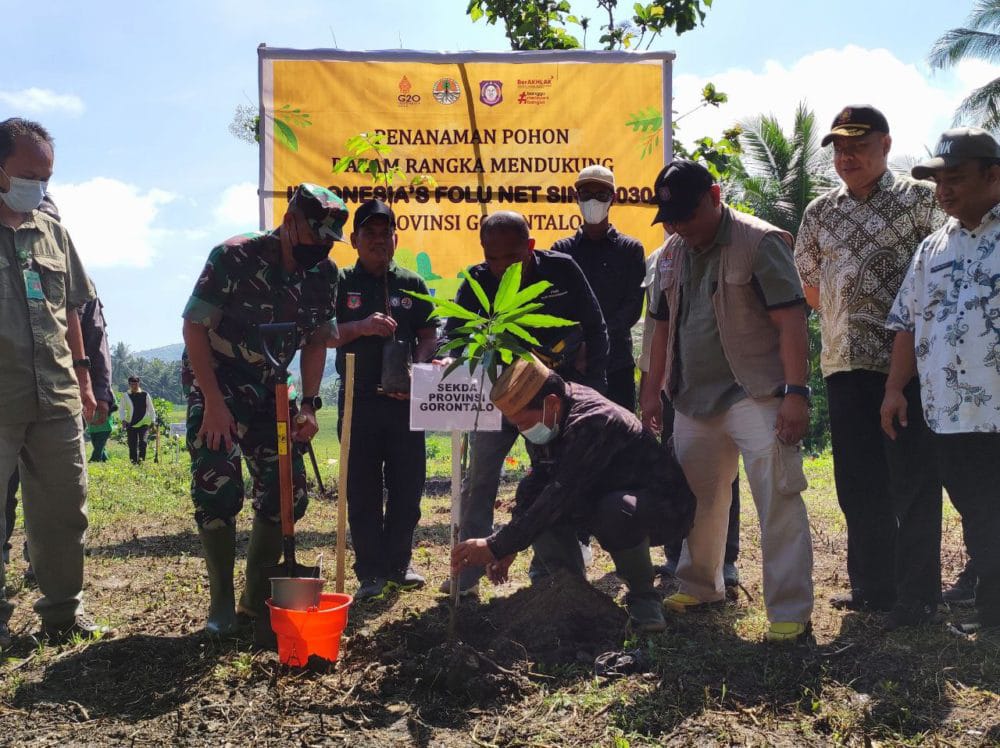 Indonesia’s FOLU Net Sink 2030