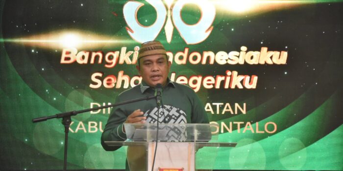 Puncak HKN ke 58, Kadis Ismail: Pelayanan Kesehatan Lebih Dimaksimalkan