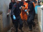 Tim Gabungan Evakuasi 5 Korban Tertimbun Tanah Gempa Cianjur
