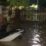 Boalemo Banjir