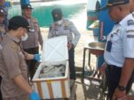 2 Box Daging Babi dan Tikus Disita di Pelabuhan Gorontalo