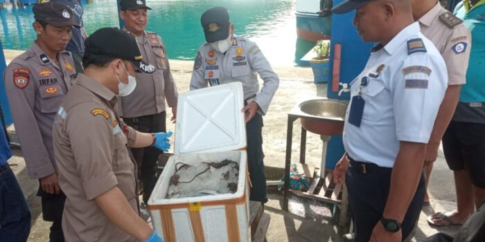 2 Box Daging Babi dan Tikus Disita di Pelabuhan Gorontalo