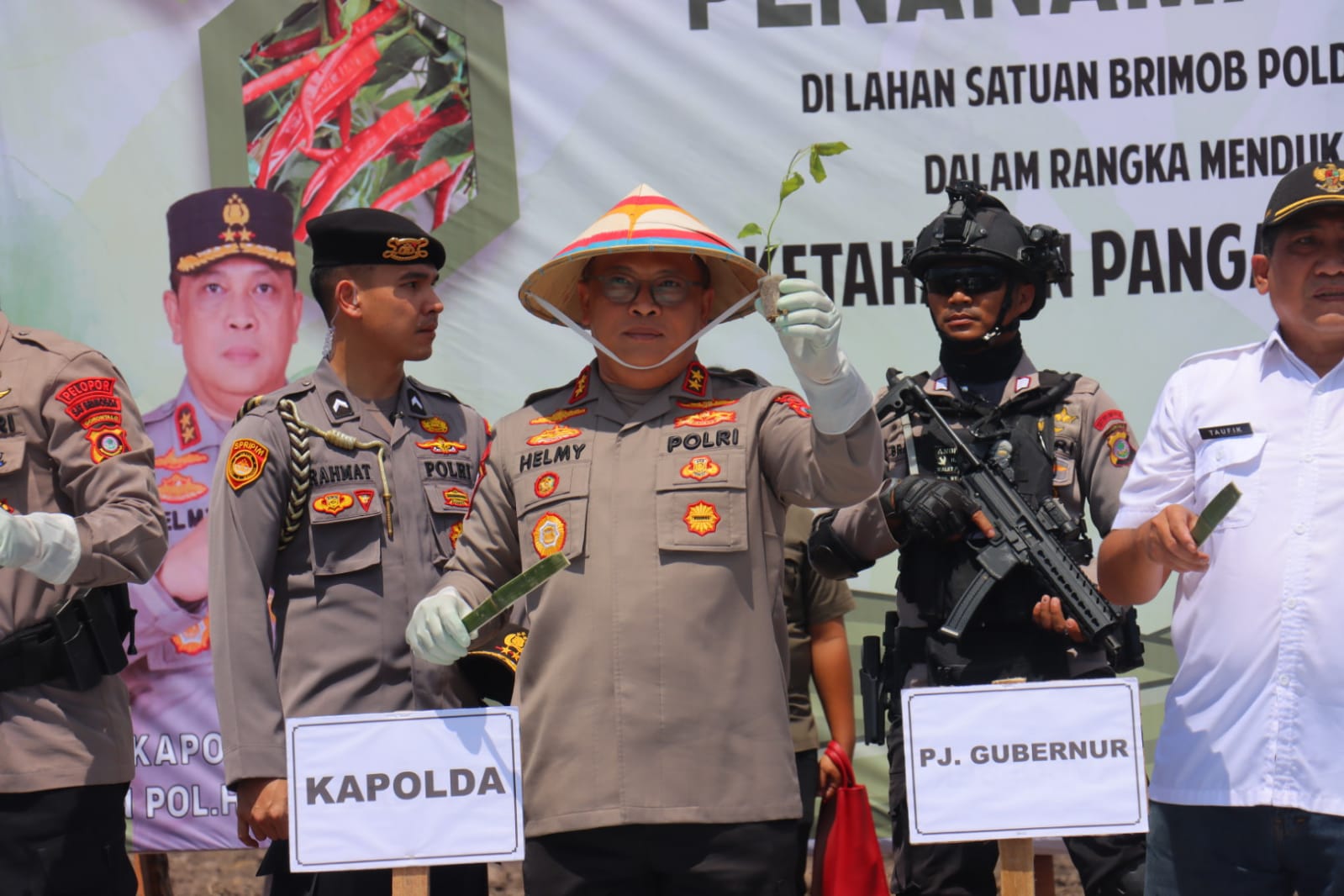 Gerakan Tanam Cabai