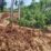 Longsor di Gorontalo