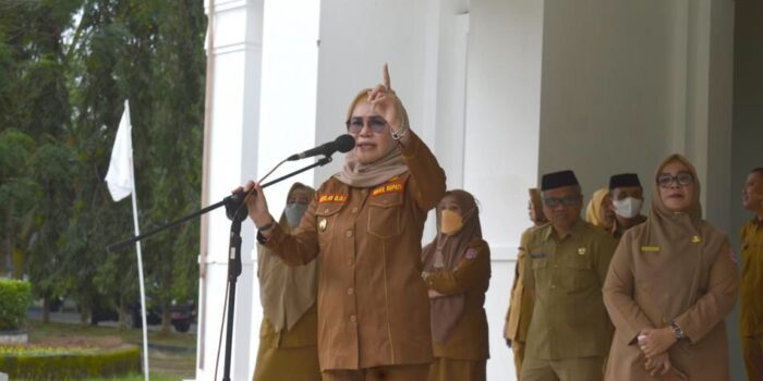 Wabup Merlan Instruksikan Aparatnya Dukung Pelaksanaan Regsosek 2022