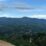 Hutan Gorontalo