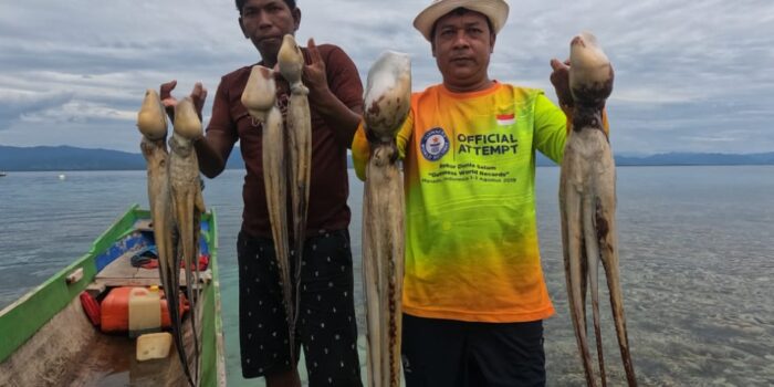 Hasil Tangkap Gurita di Torosiaje Kini Melimpah