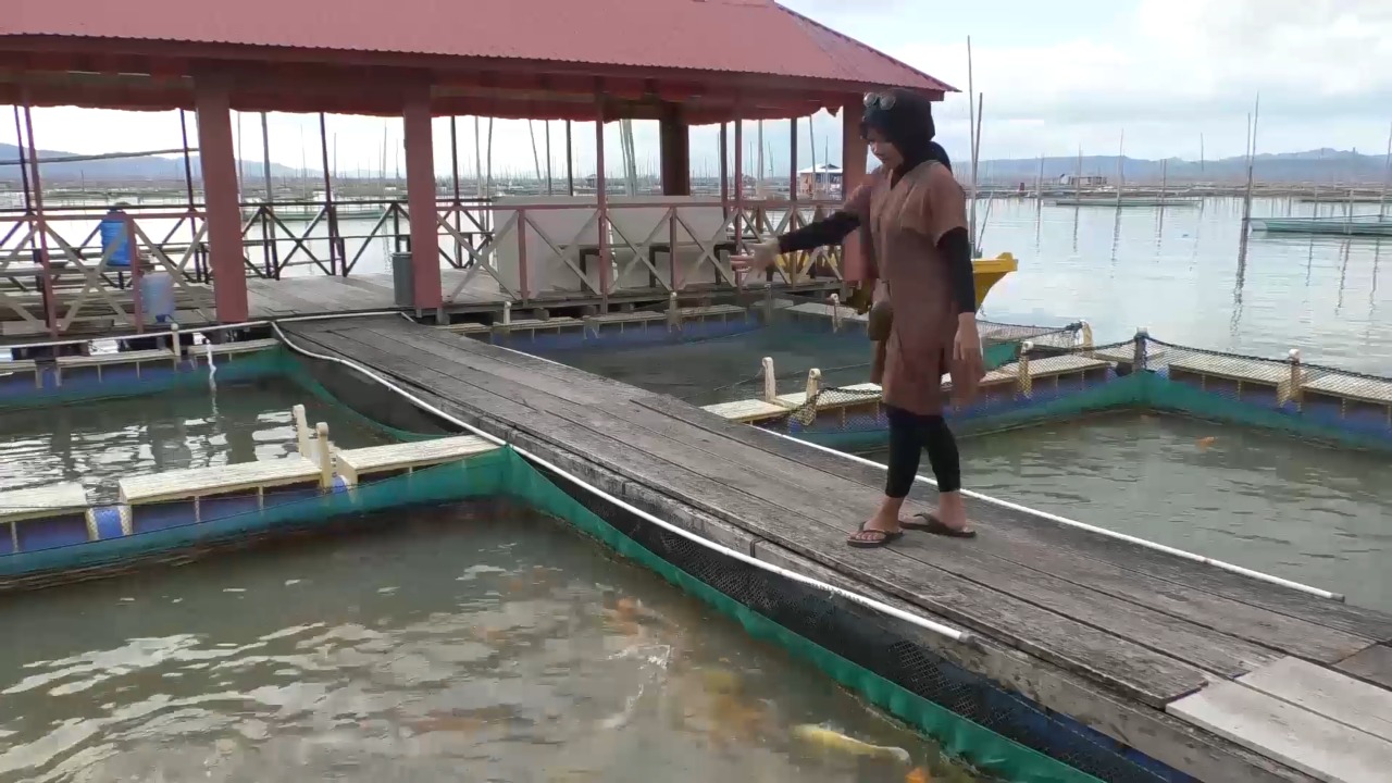 Ikan Tawar
