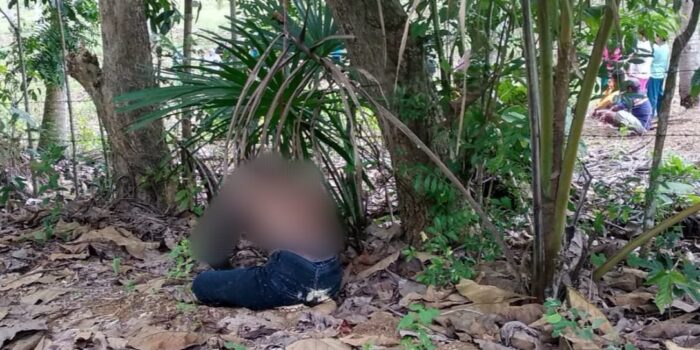 Mayat Pria Ditemukan Tergantung di Pohon Jati, Begini Penjelasan Kakaknya