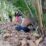 Tewas Tergantung di Pohon