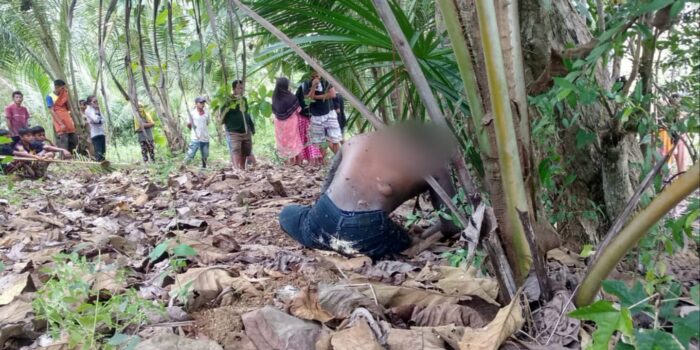 Heboh, Warga Temukan Mayat Tergantung di Pohon Jati