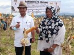 Gorontalo Utara bakal Jadi Lumbung Pangan Jagung