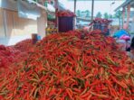 Harga Cabai Rawit di Pohuwato Tembus Rp100 Ribu Perkilogram