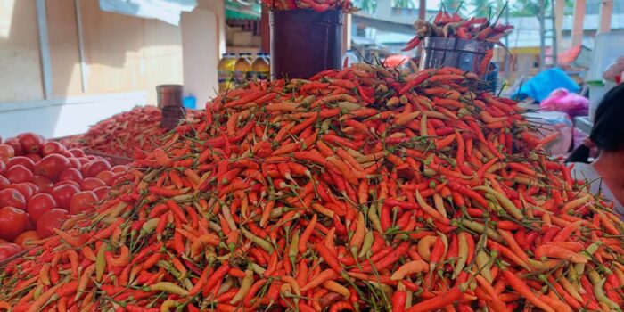 Harga Cabai Rawit di Pohuwato Tembus Rp100 Ribu Perkilogram