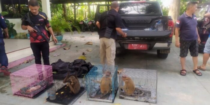Tersangka Penyelundupan Satwa Dilindungi di Gorontalo Terancam 5 Tahun Penjara