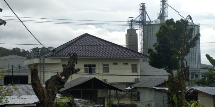 Warga Pulubala Alami Gatal Kulit, Diduga Kena Debu Ari Jagung Perusahaan