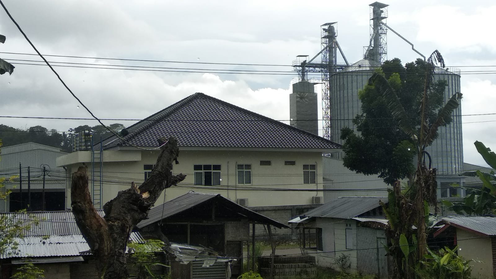 Warga Gatal Kulit