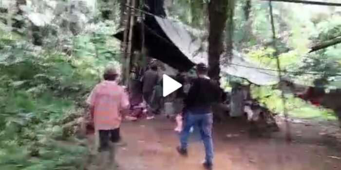 Video Polisi Gerebek Tempat Pembuatan Cap Tikus di Gorut
